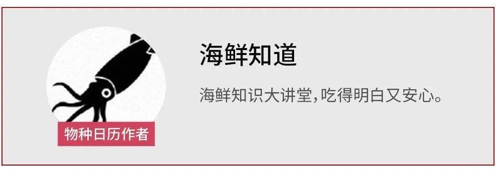 鳄雀鳝|这条观赏鱼有多猛？鳞可以做铠甲，想吃要用斧头砍