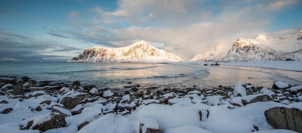 冰箱|冰面下的鱼会觉得冷吗？冰箱里的鱼呢？