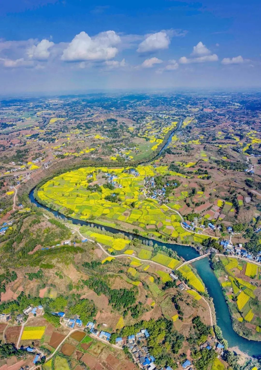 一口气带你看遍陵州四季