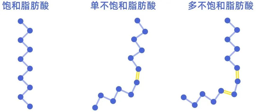 有1个活结的,就是单不饱和脂肪酸;有2个或2个以上活结的,就是多不饱和