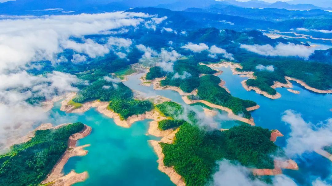 四周群山环抱,湖水幽碧的松涛天湖.白鹭在儋州湾红树林里栖息.
