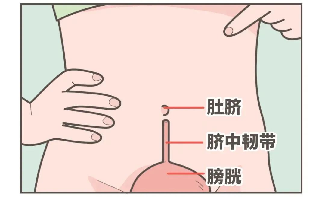 肚脐眼漫画（动漫肚脐眼怎么画） 肚脐眼漫画（动漫肚脐眼怎么画）《肚脐眼漫画怎么样》 漫画点评