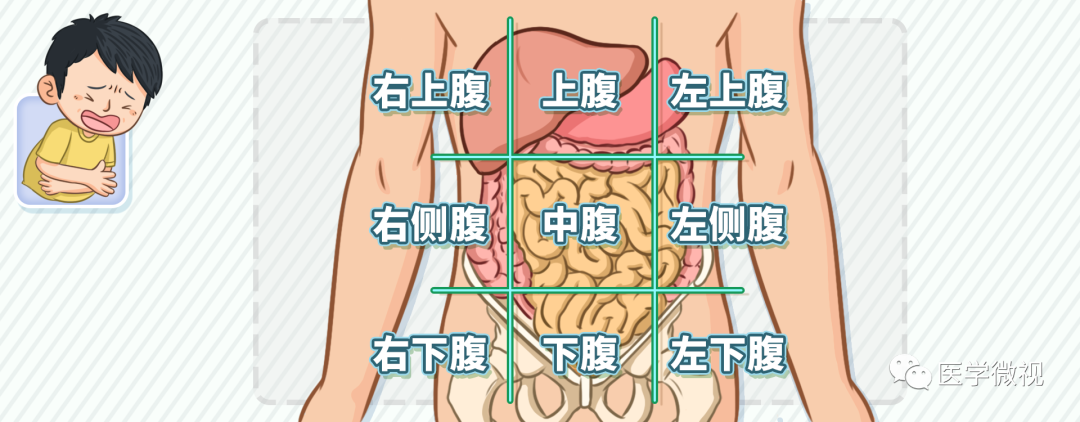 人体腹部九宫格图图片