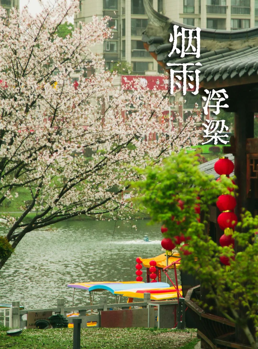 浮梁春雨一下就美成了江南