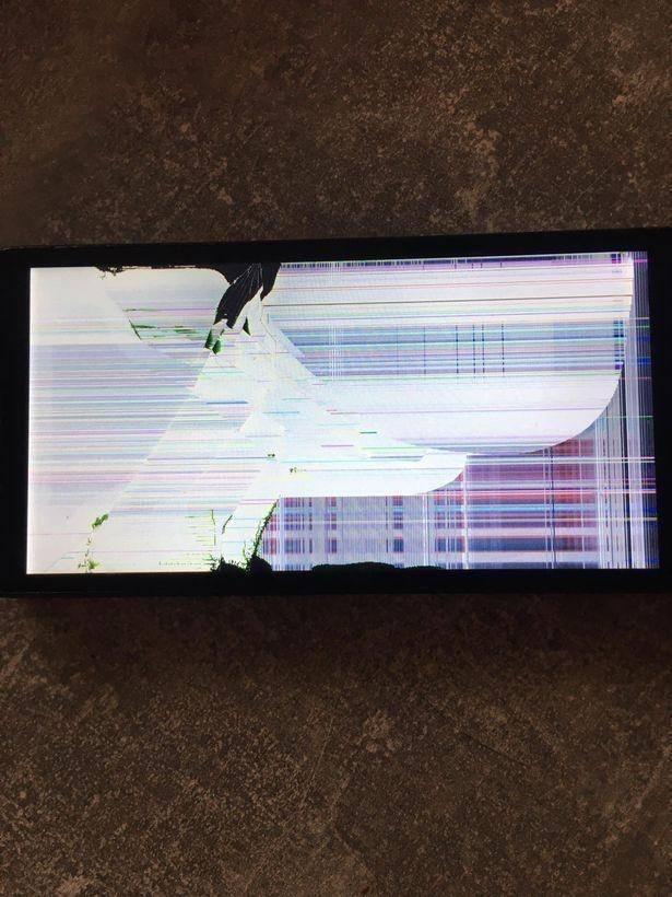 1649571399264166.jpg 1000 (1).jpg