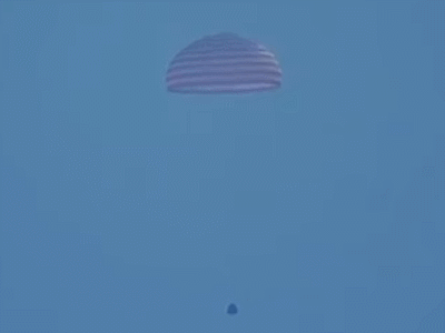 1650083951469077.gif 279155b28ddd89d4244e44774ccd591a.gif