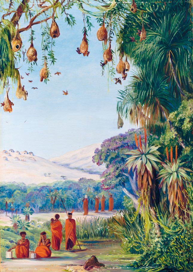诺斯描绘的南非风景、植被和居民。她对于“卡菲尔兰（Kafirland）的完美新世界植被”惊叹不已，这片植物世界中偶尔出现蜂窝型的小屋，其中的居民是“穿着红色斗篷，头插羽毛，外貌最庄严美丽的人物”。.jpg