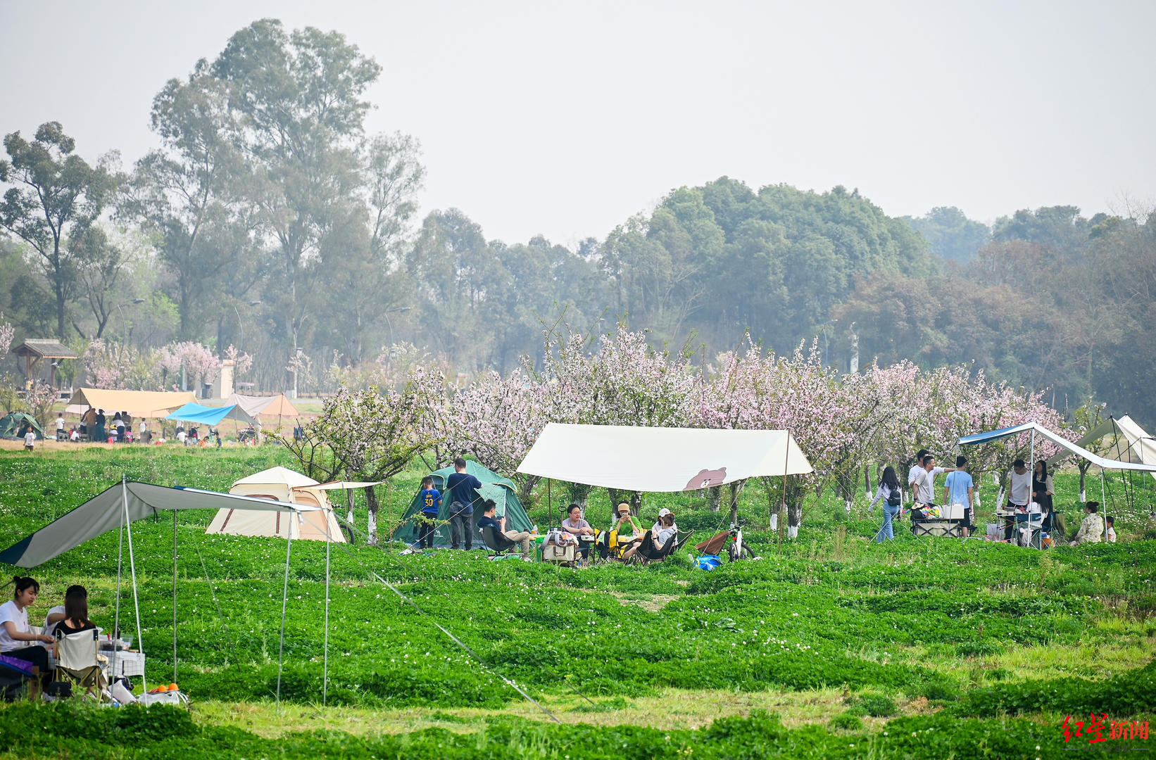 乡村游野外露营热出新业态能否成为文旅消费新风口