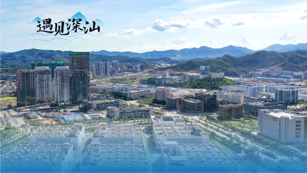 深汕合作区"牵手"比亚迪夯实智造新城基石喜讯!深圳中学高中园花