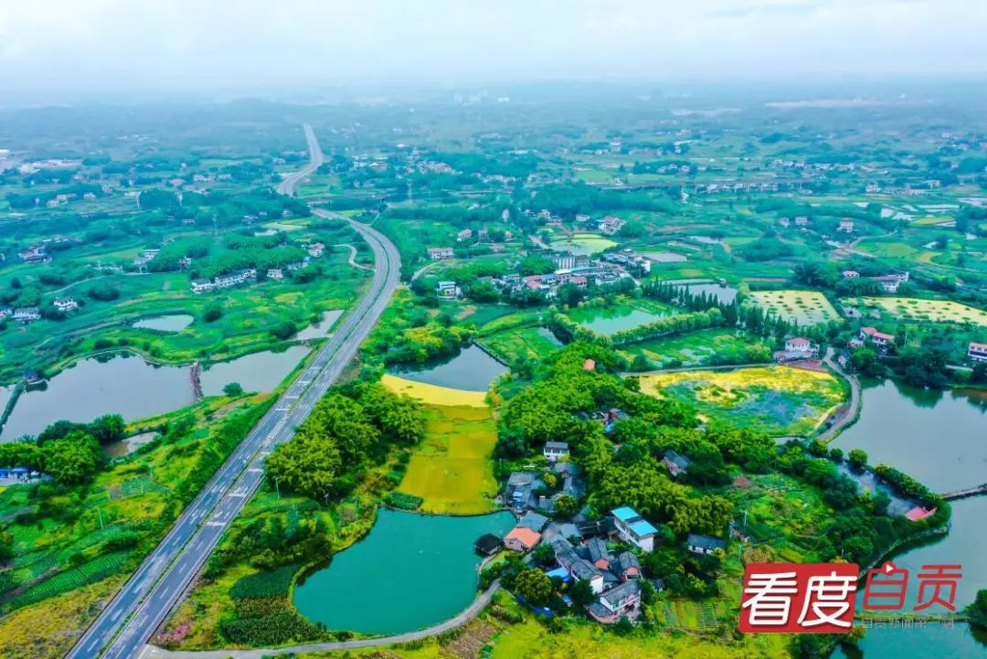 全胜村产业发展描绘乡村振兴全胜画卷