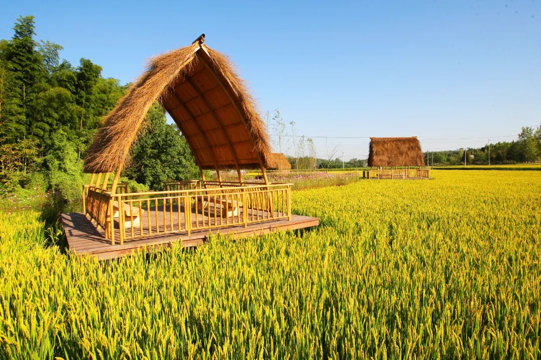 心动乡野,打卡去!_人民号