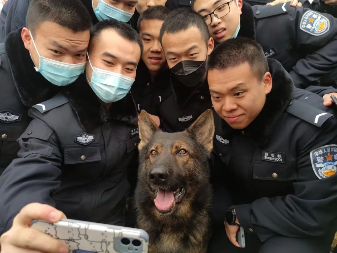 2022年招生专业介绍警犬技术专业