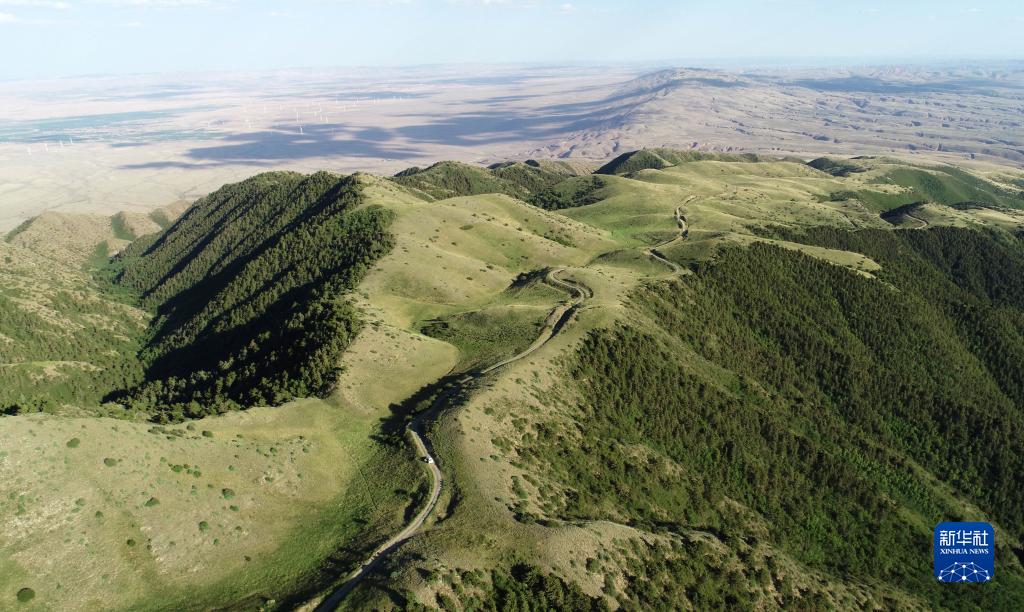 夏日罗山风景美