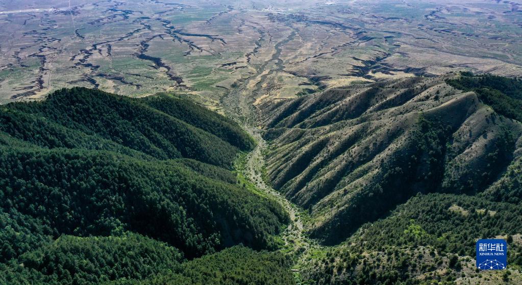 夏日罗山风景美