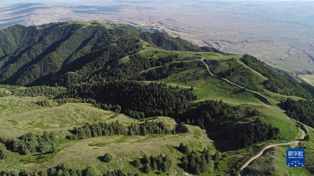 夏日罗山风景美