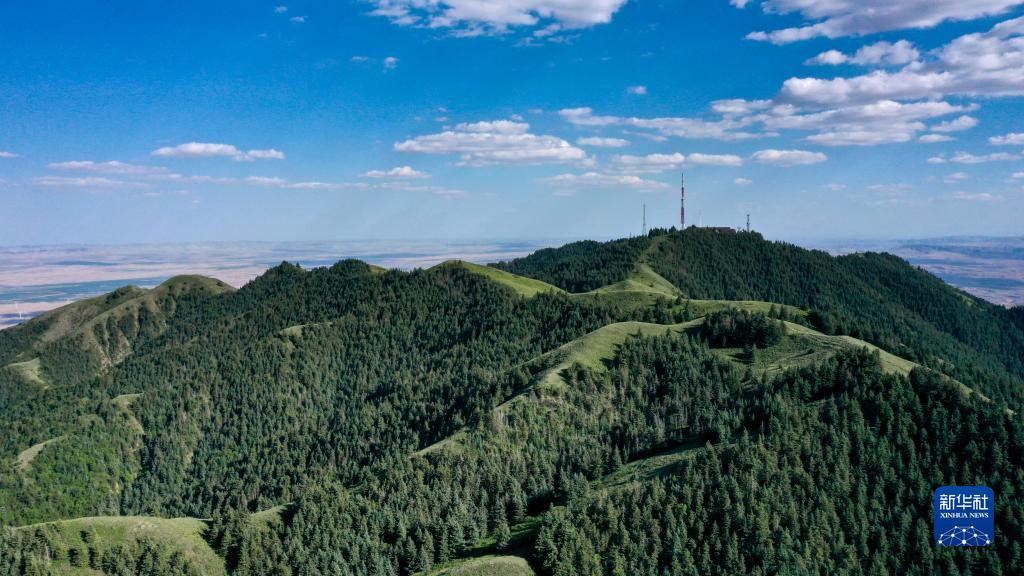 夏日罗山风景美