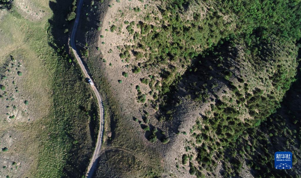 夏日罗山风景美