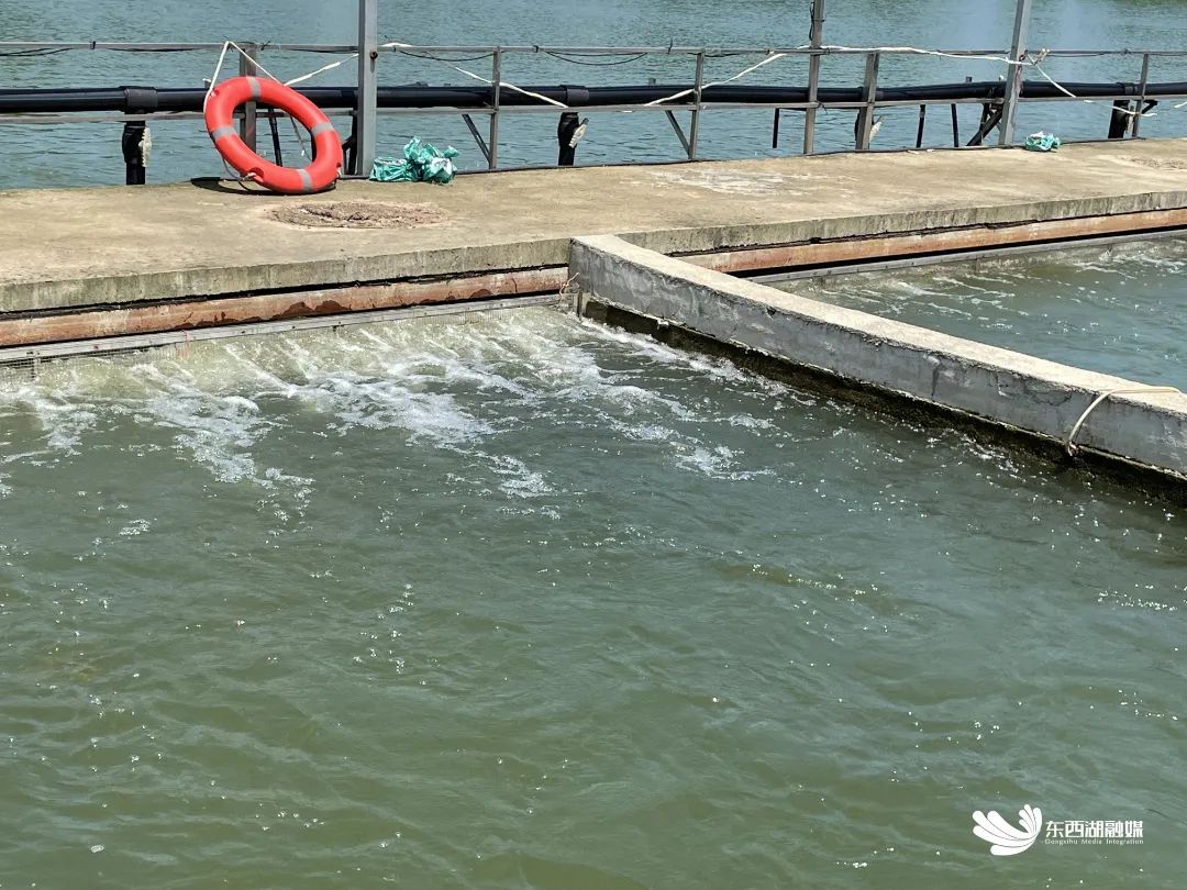 7ebf23d78bcc43fd8d66fd97fbc4240f.jpg 图片