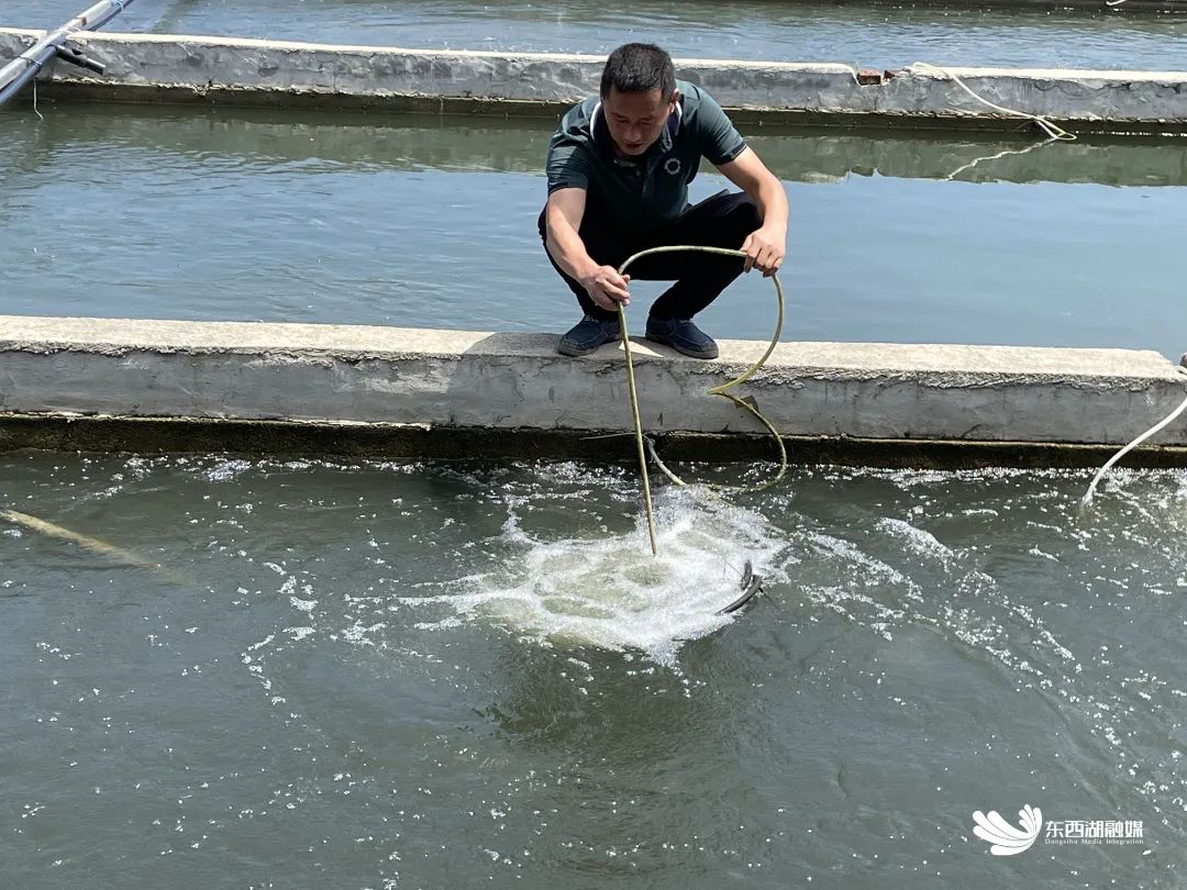 d451cc87c1324526961936d59d381009.jpg 图片