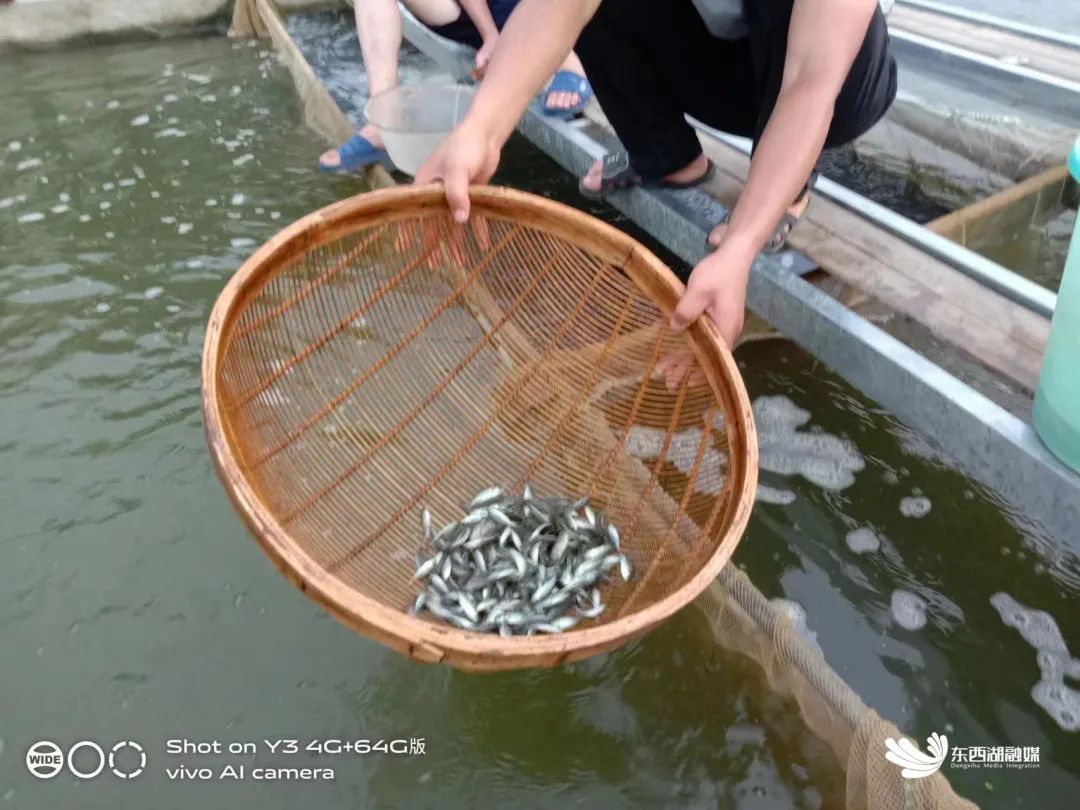 55c1075709ce4fb9b984d086b03b966a.jpg 图片