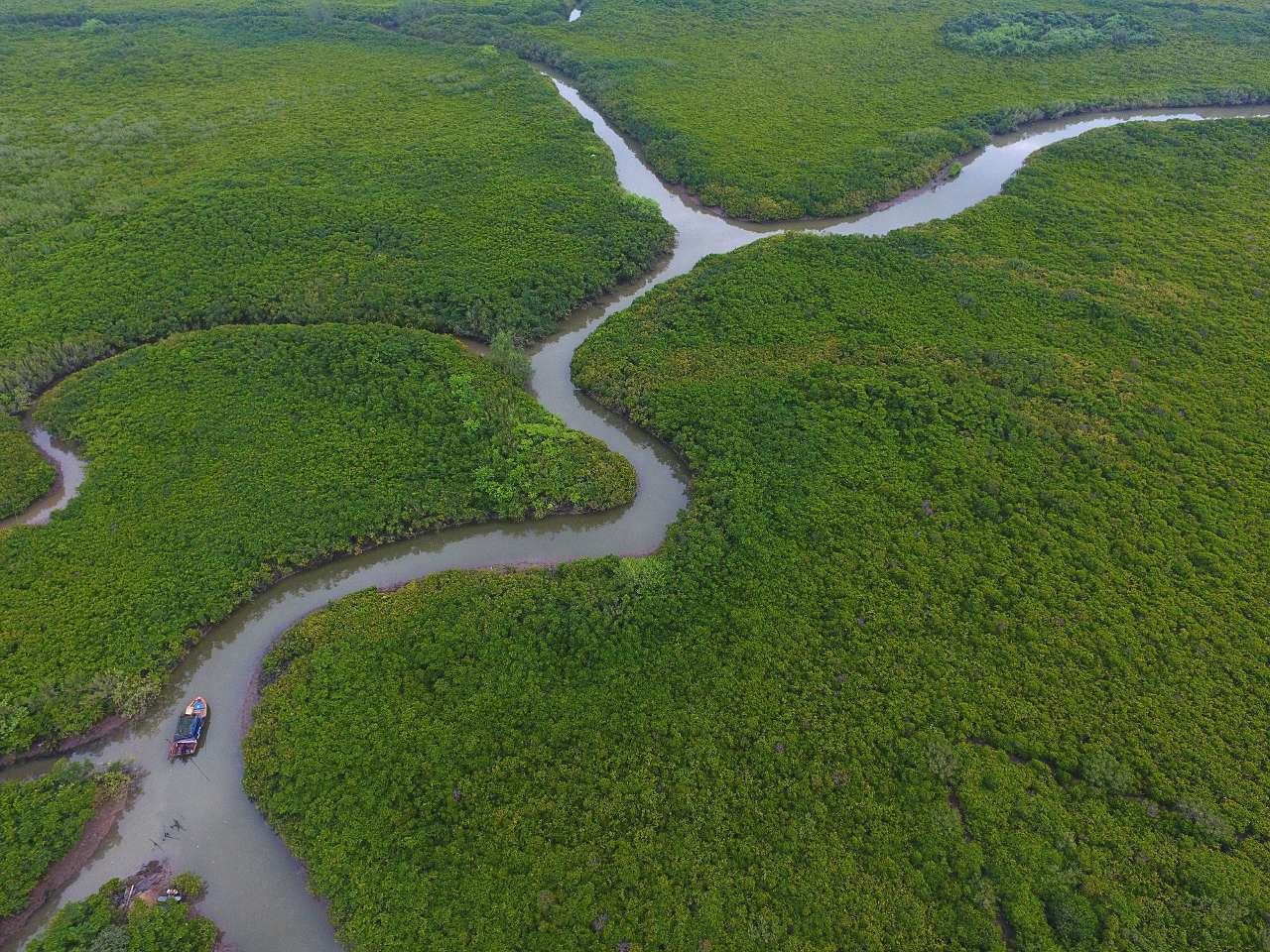 绿色的草地 描述已自动生成