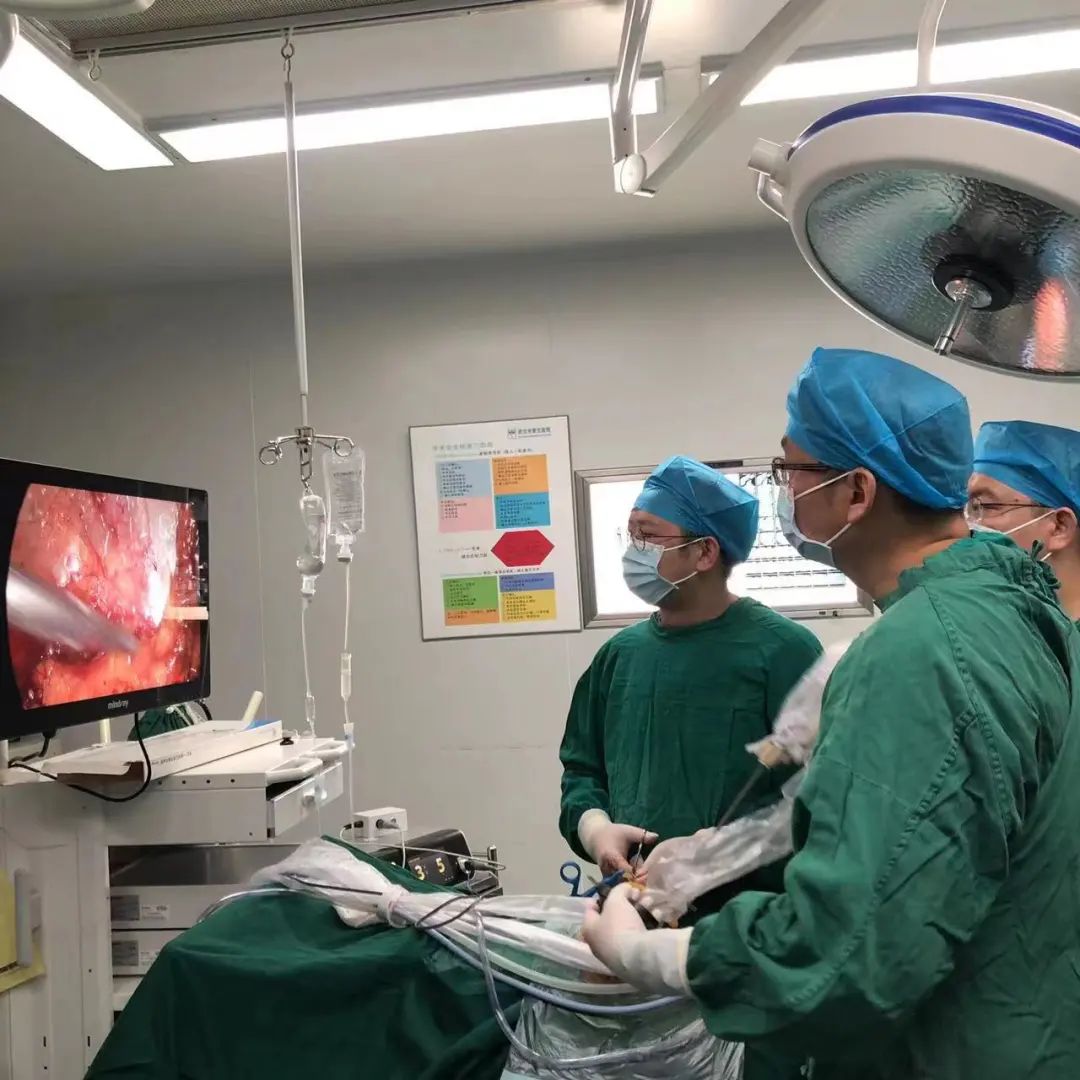 32231657027438_.pic.jpg 图片