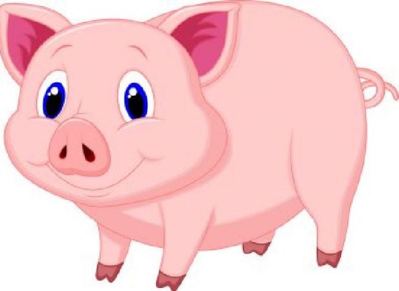 踩中“猪周期”风口，两大千亿猪肉概念股飙涨，基金上演“霸榜”神话「投资风向标」