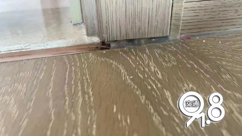 06430F72ABE38E57B4C0098FB2BD21F2