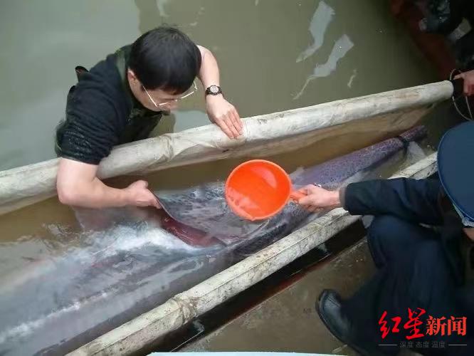 1658486902465767.jpg 微信图片_20220722184451.jpg