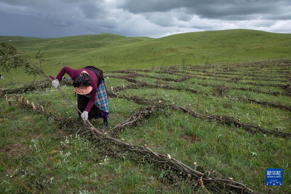 四川若尔盖:遏制草原退化沙化