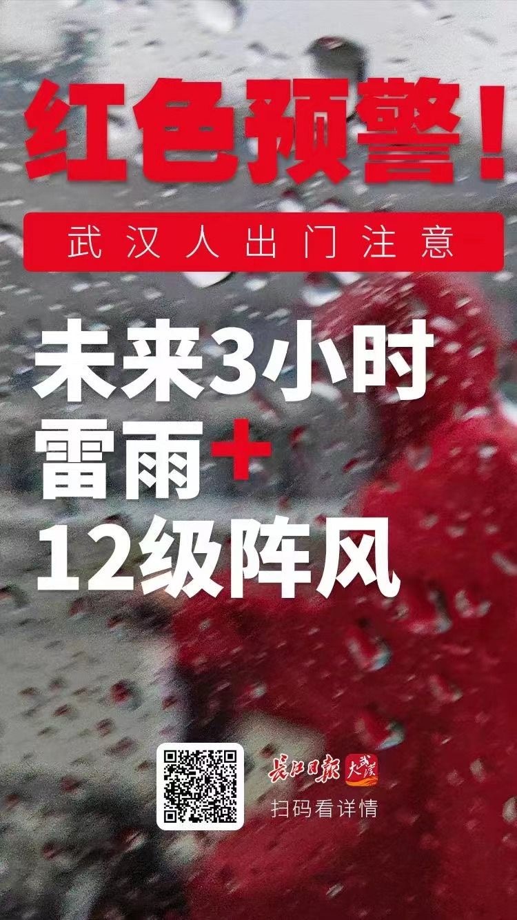 红色预警武汉人出门注意未来3小时雷电12级阵风