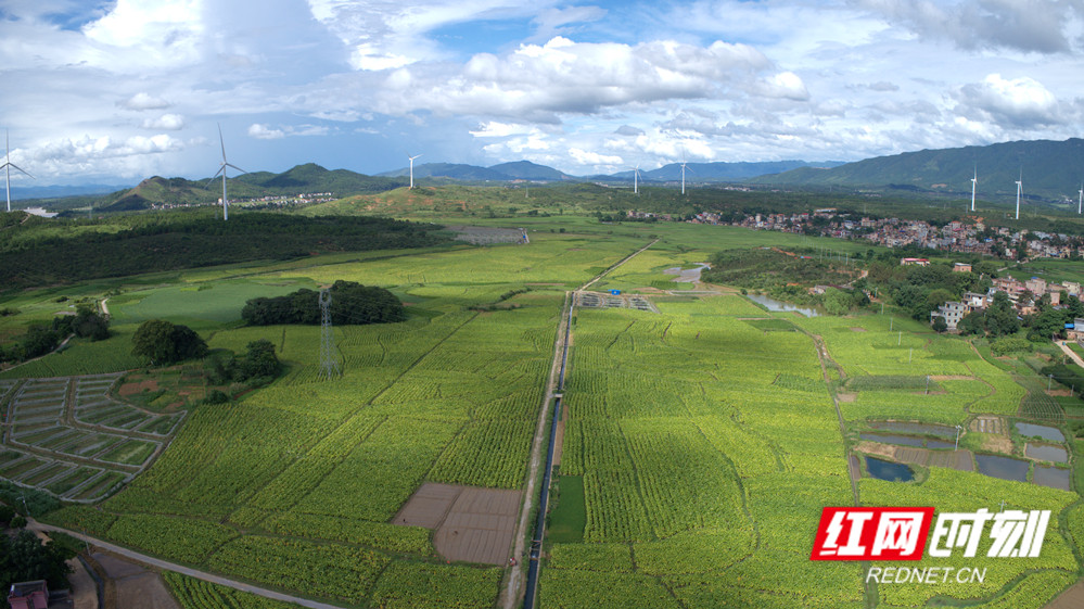 DJI_0163_副本.jpg DJI_0163_副本.jpg