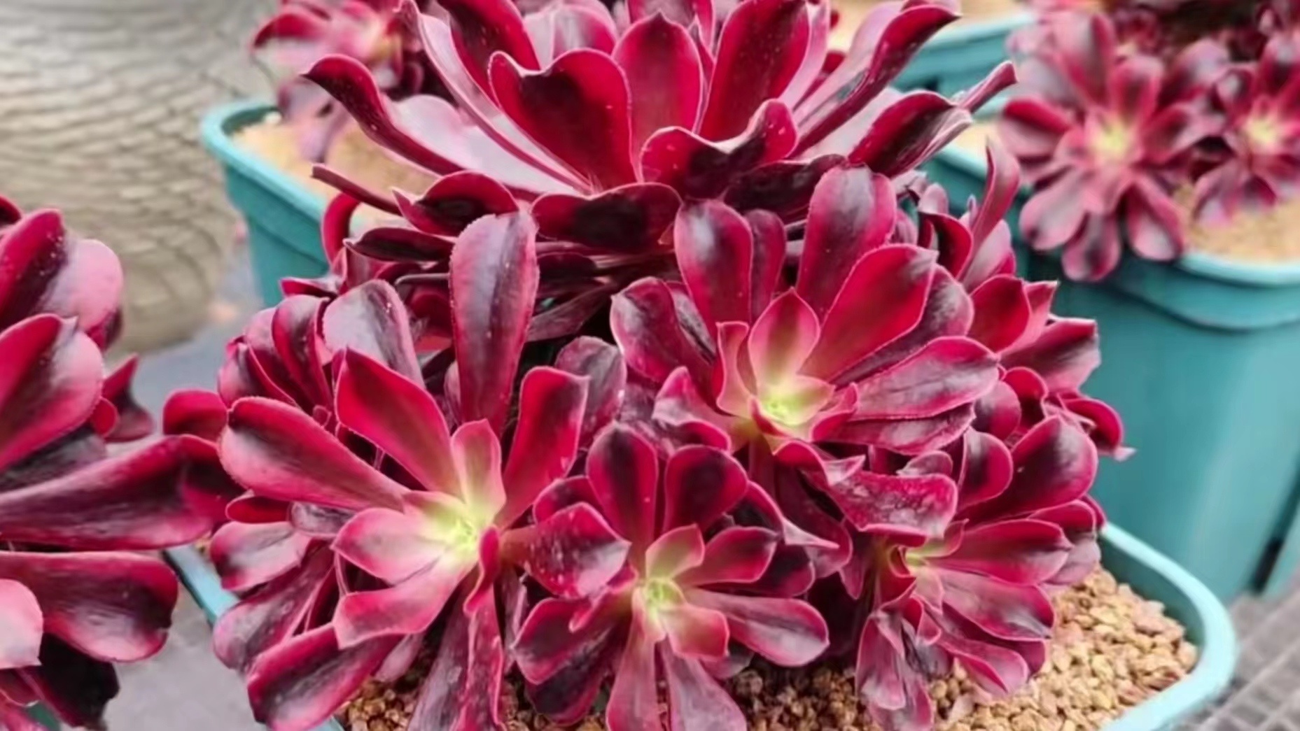 微信图片_20220816135548.jpg 微信图片_20220816135548.jpg