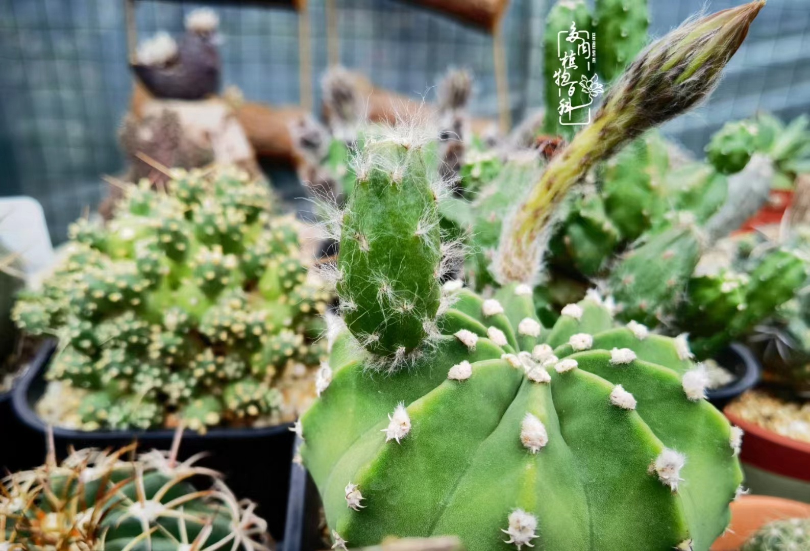 微信图片_20220816140249.jpg 微信图片_20220816140249.jpg