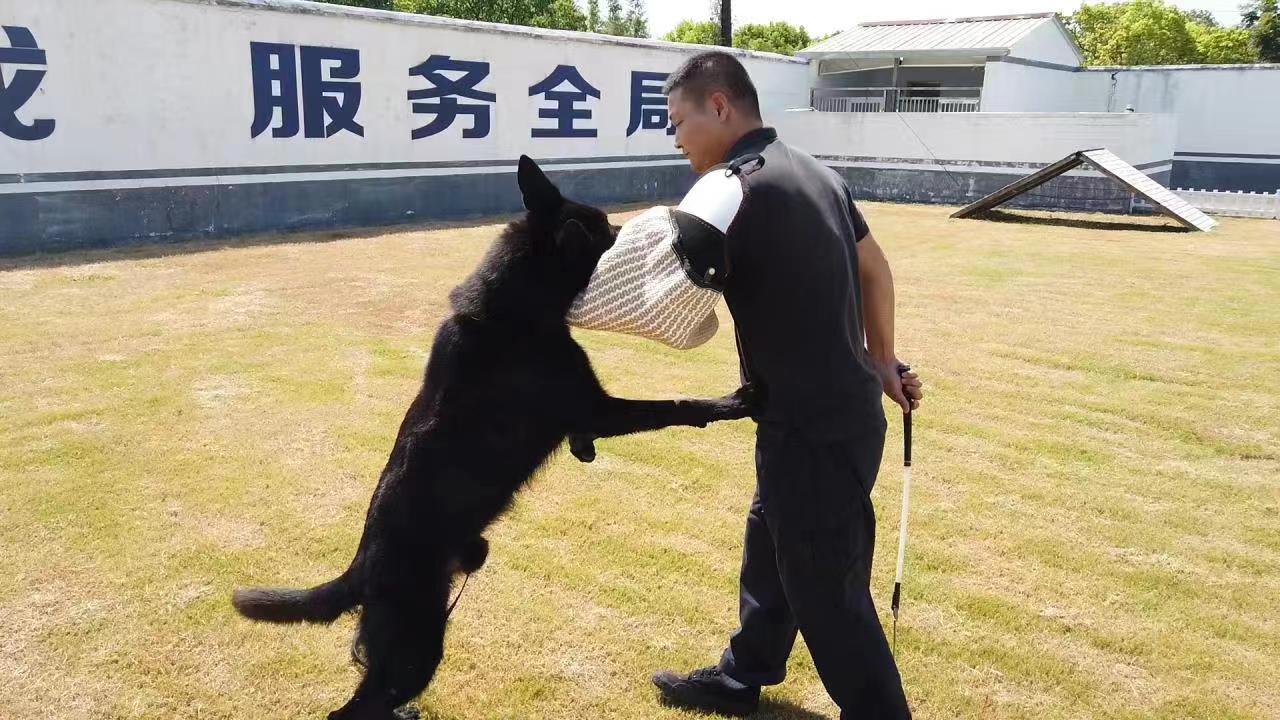 ②7月1日下午，色德村党员通过视频连线参加杨泽楠授课 (2).jpg