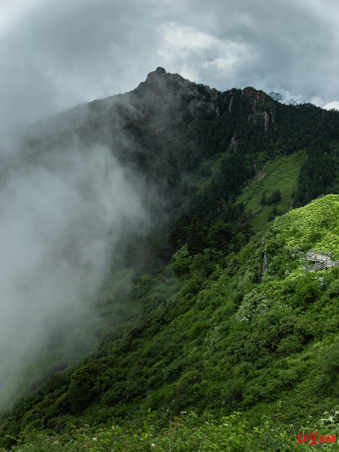 西岭雪山1.jpg