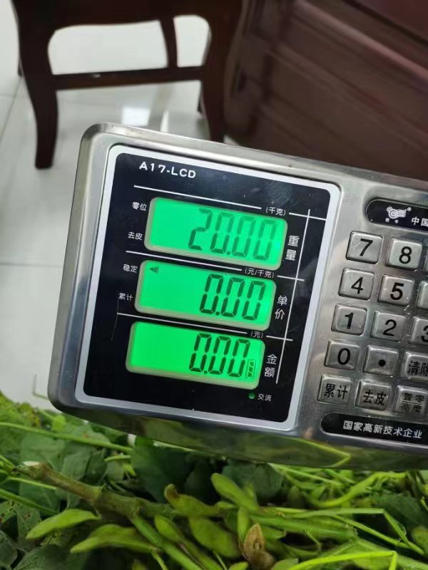 ②7月1日下午，色德村党员通过视频连线参加杨泽楠授课 (2).jpg