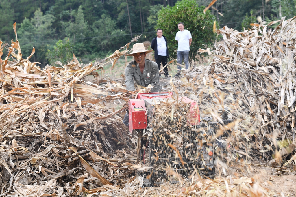 秸秆粉碎