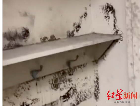 1663487985956578.png 1_副本.png