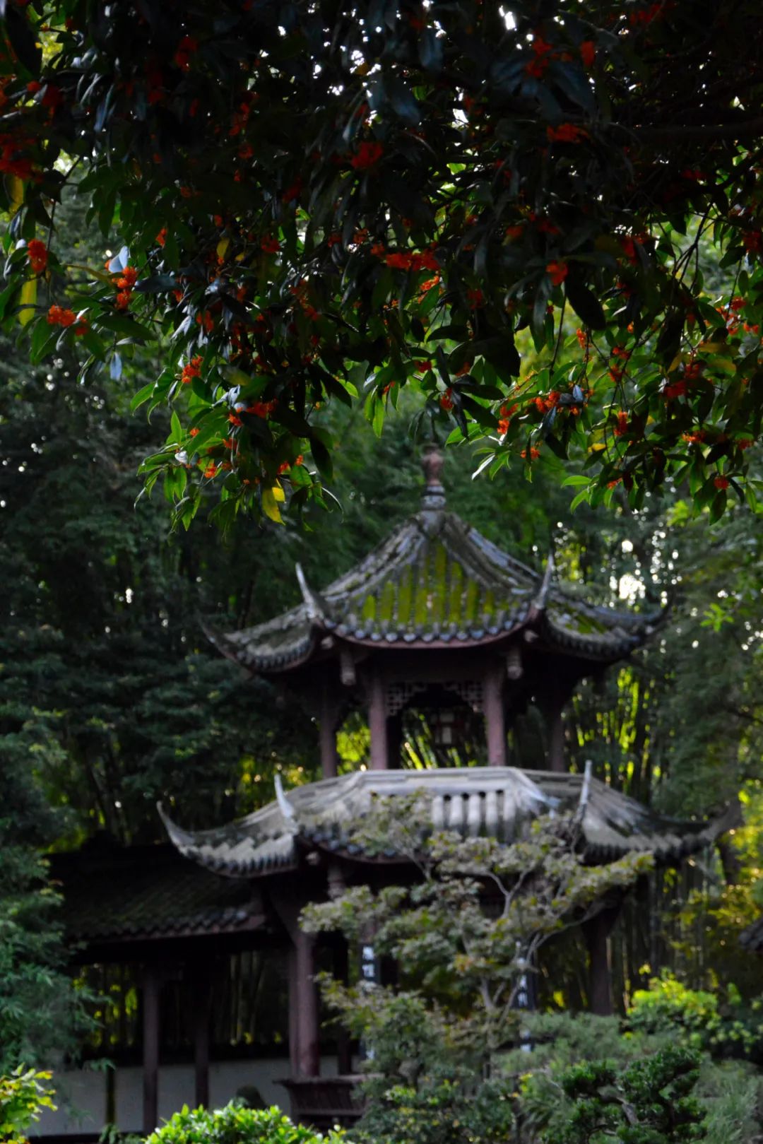 1663498824924207.jpg 7373310d0ffbec7fa309ee83d6c291de.jpg