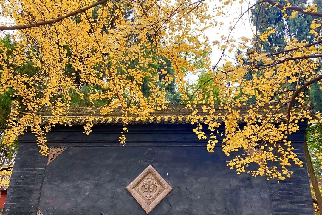 1663497726629389.jpeg 640.jpeg