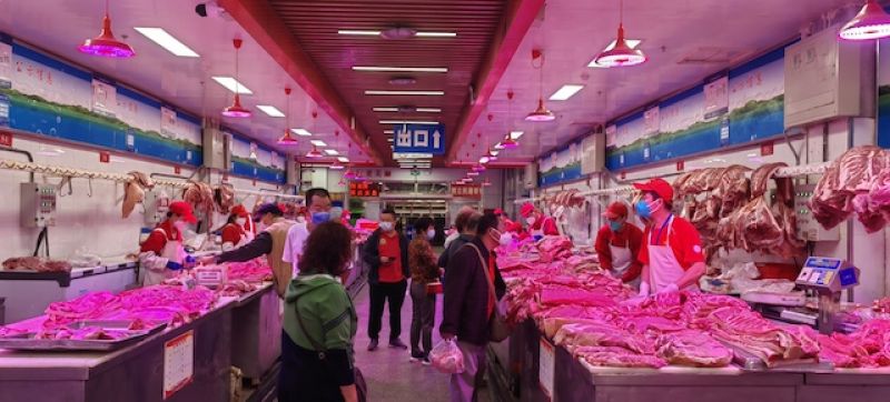 20万吨储备猪肉9月入市！发改委连续三周投放，猪价还会涨吗？