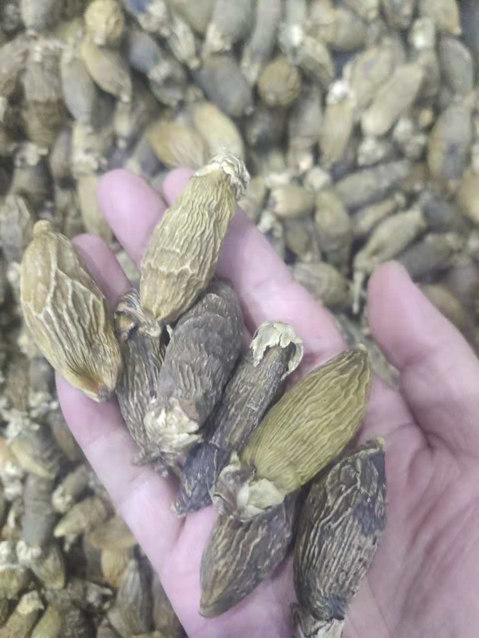 1664028423480830.jpg d04b5727742d8b868f027d2d0b40a8b.jpg