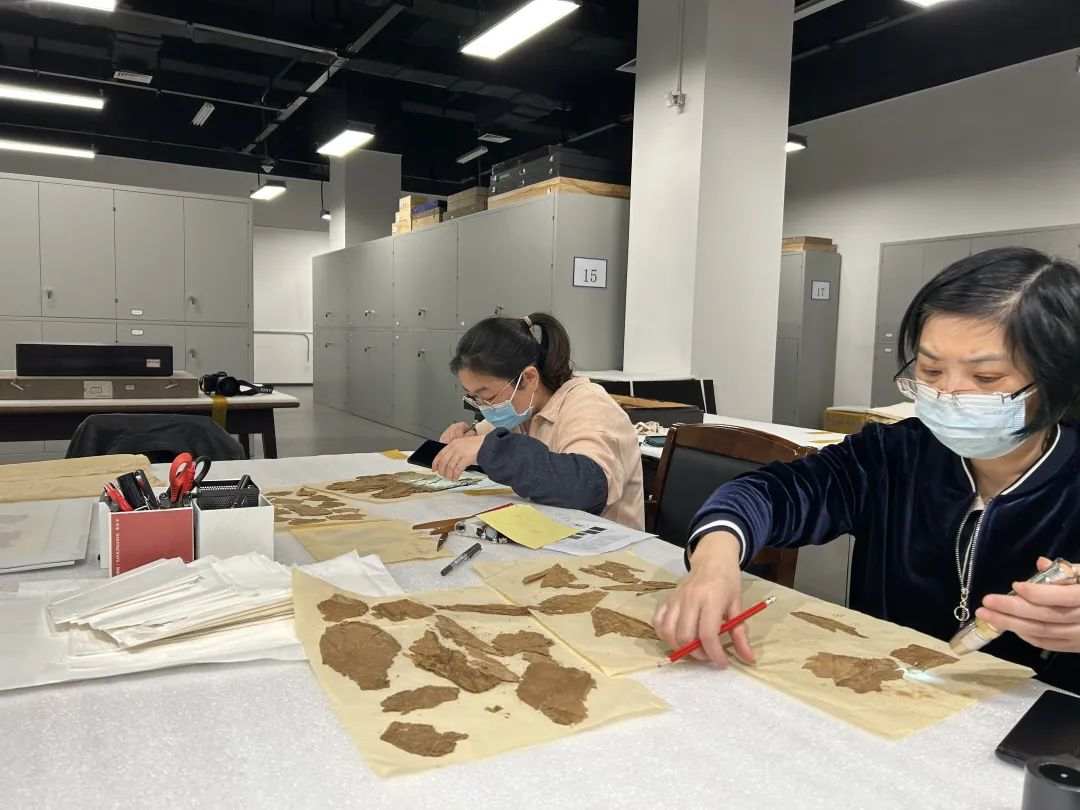 1666924222687815.jpg?x-oss-process=style/w10 微信图片_20221028102950.jpg?x-oss-process=style/w10