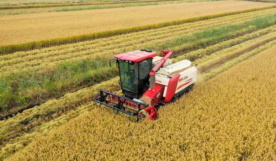 小站稻田增收记