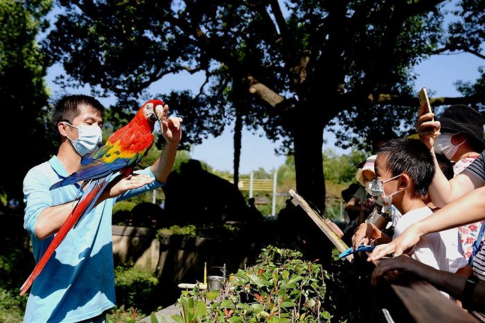 上海动物园:动物科普秀受欢迎