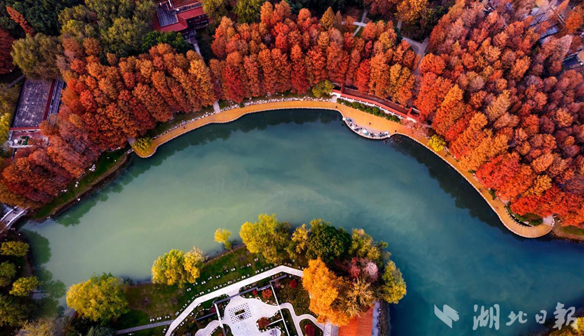 CB20221213005920448016.jpg CB20221213005920448016.jpg