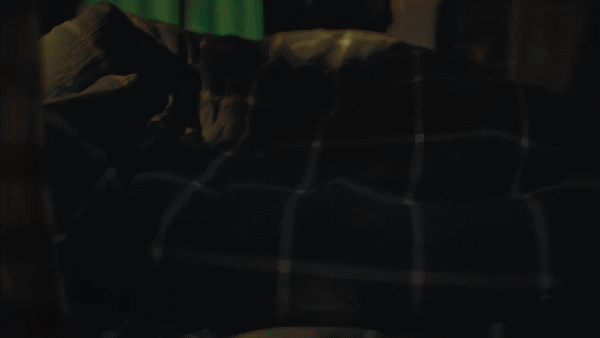 1671939186242316.gif 7550486313749700_1671690503824.gif