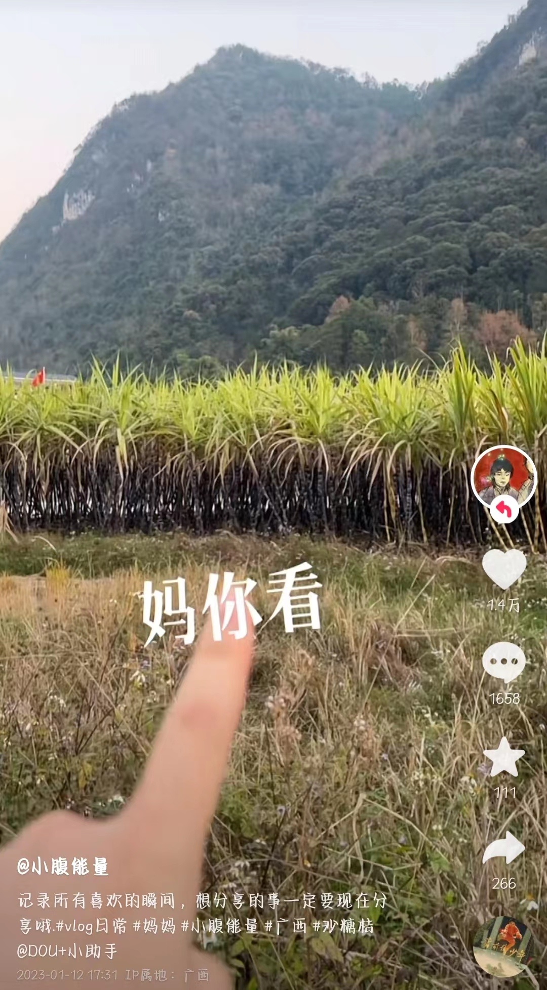 图片1 小腹.png 图片1 小腹.png