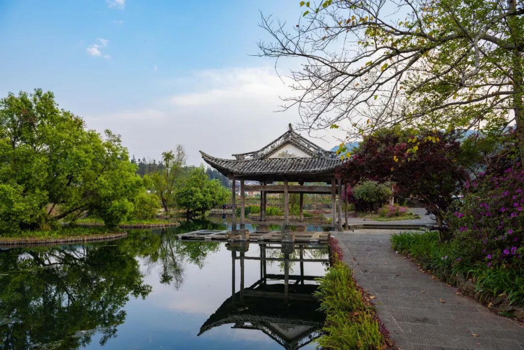 乡建添新意古村获新生云南保山市推进传统村落开发利用见闻